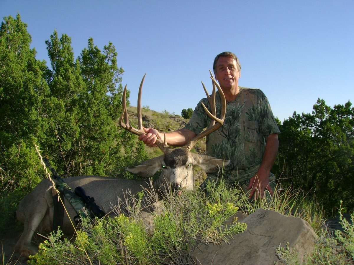 Mule Deer Hunting 2