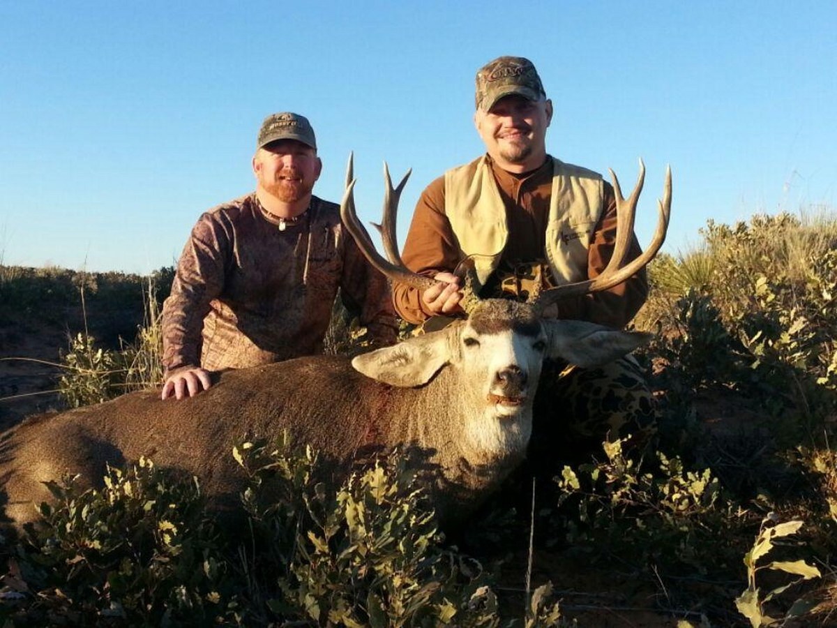 Mule Deer Hunting 6