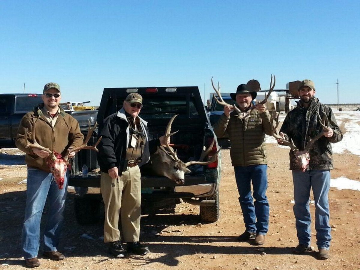 Mule Deer Hunting 10