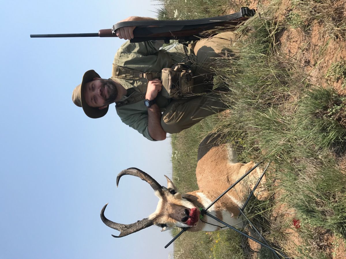 Trophy pronghorn Antelope 0
