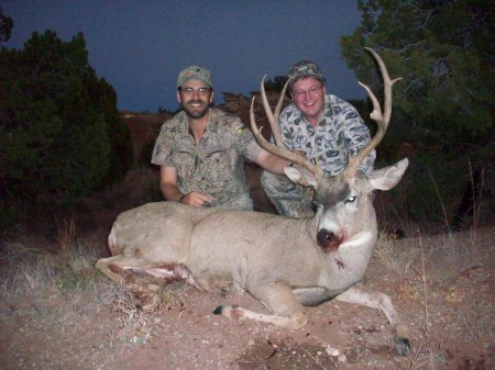Dave Mule Deer Buck II
