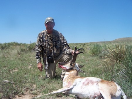 2008 Antelope