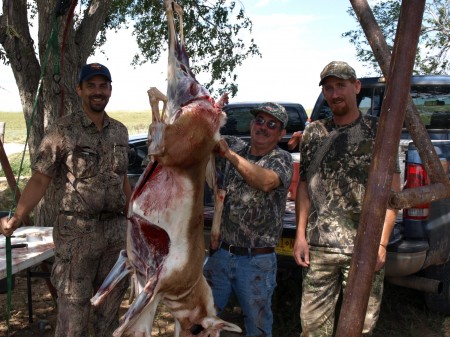 Skinng Rack 2008