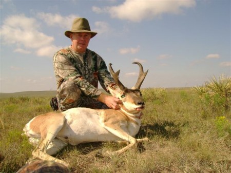 Pronghorn